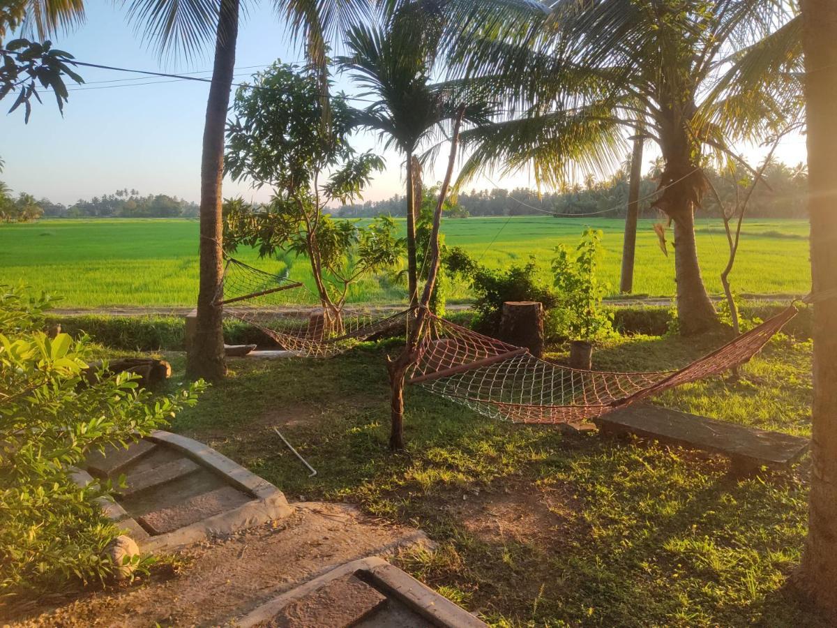 Village Mango Resort Yala Tissamaharama Eksteriør billede