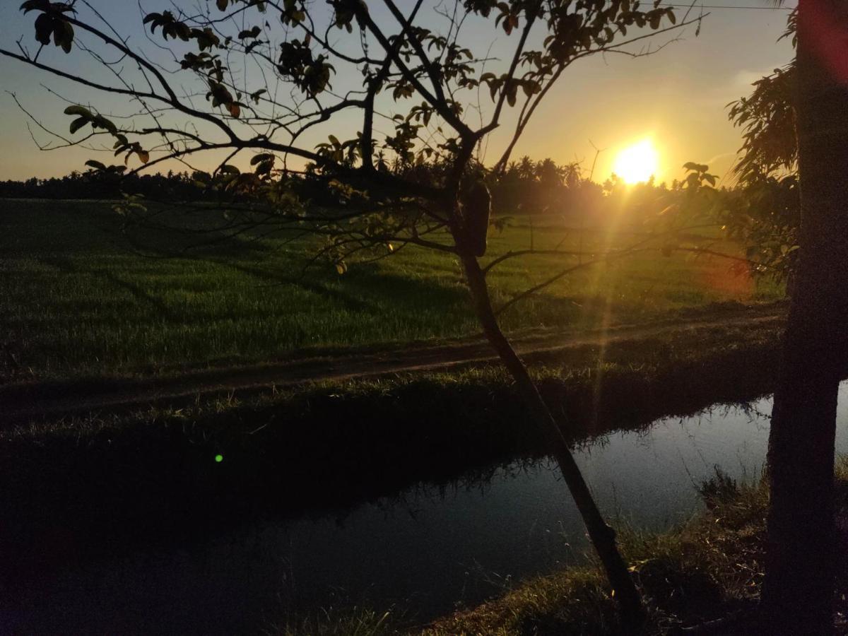 Village Mango Resort Yala Tissamaharama Eksteriør billede