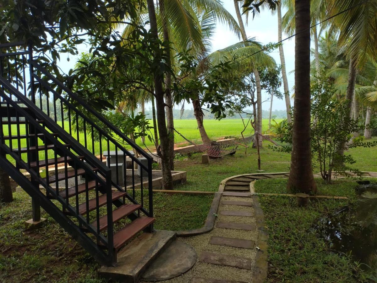 Village Mango Resort Yala Tissamaharama Eksteriør billede
