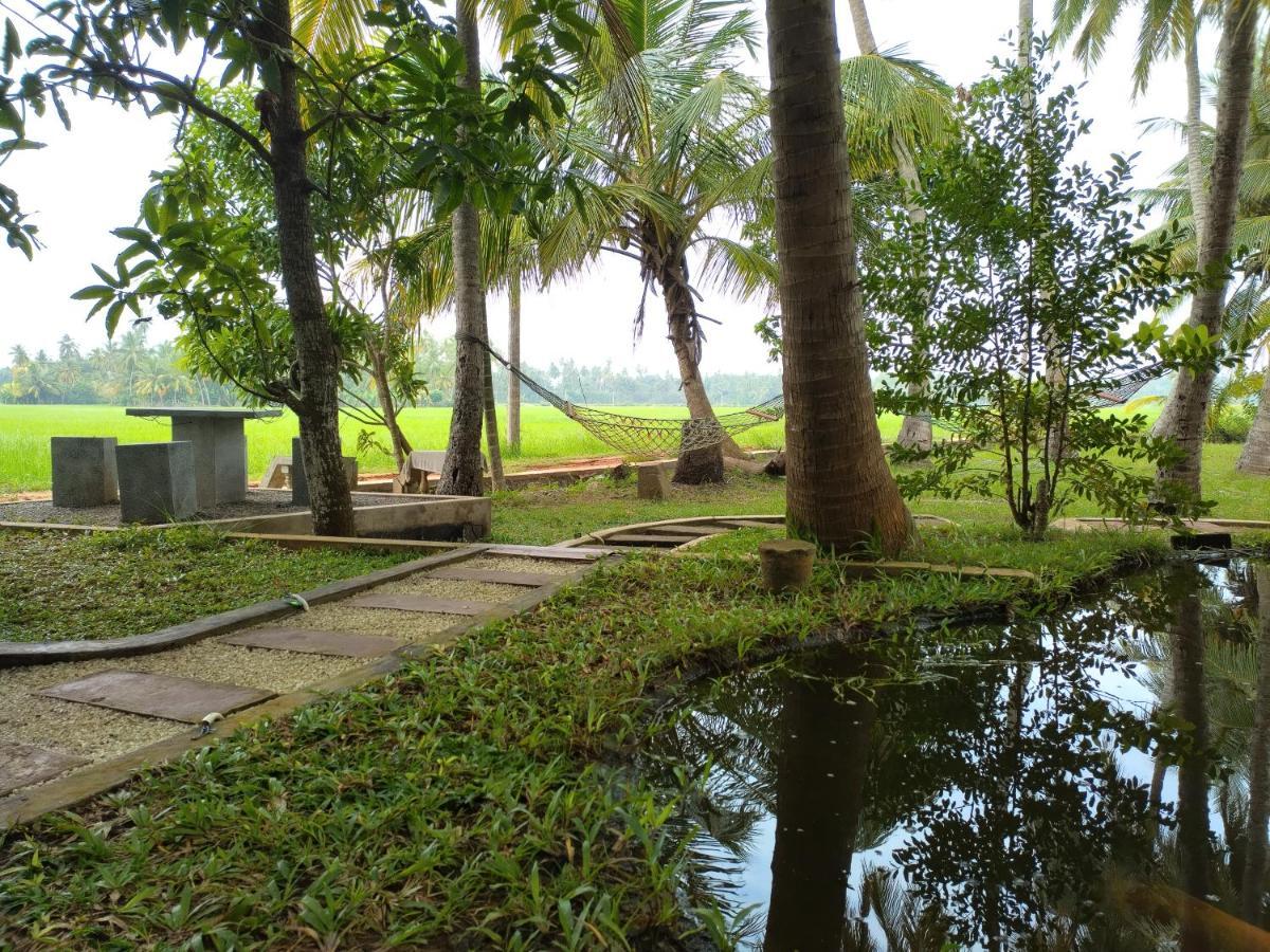 Village Mango Resort Yala Tissamaharama Eksteriør billede