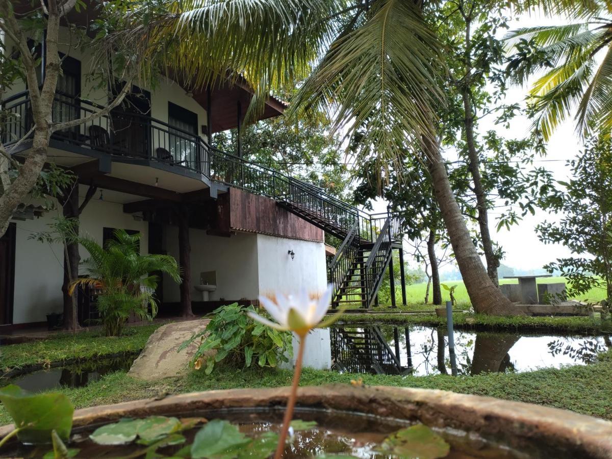 Village Mango Resort Yala Tissamaharama Eksteriør billede