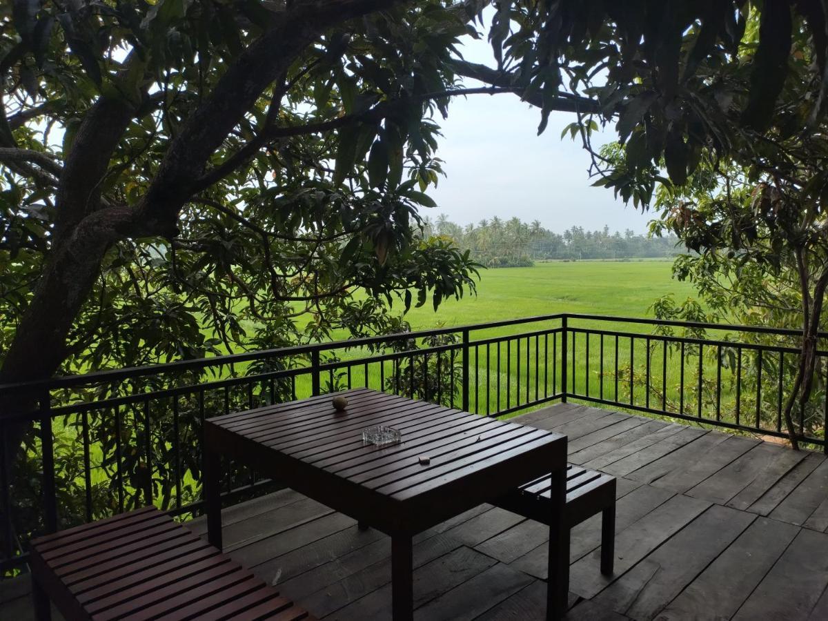 Village Mango Resort Yala Tissamaharama Eksteriør billede