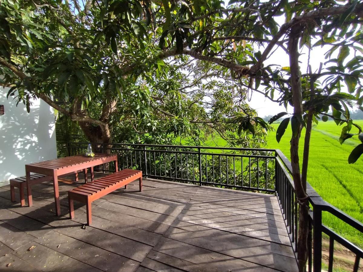 Village Mango Resort Yala Tissamaharama Eksteriør billede