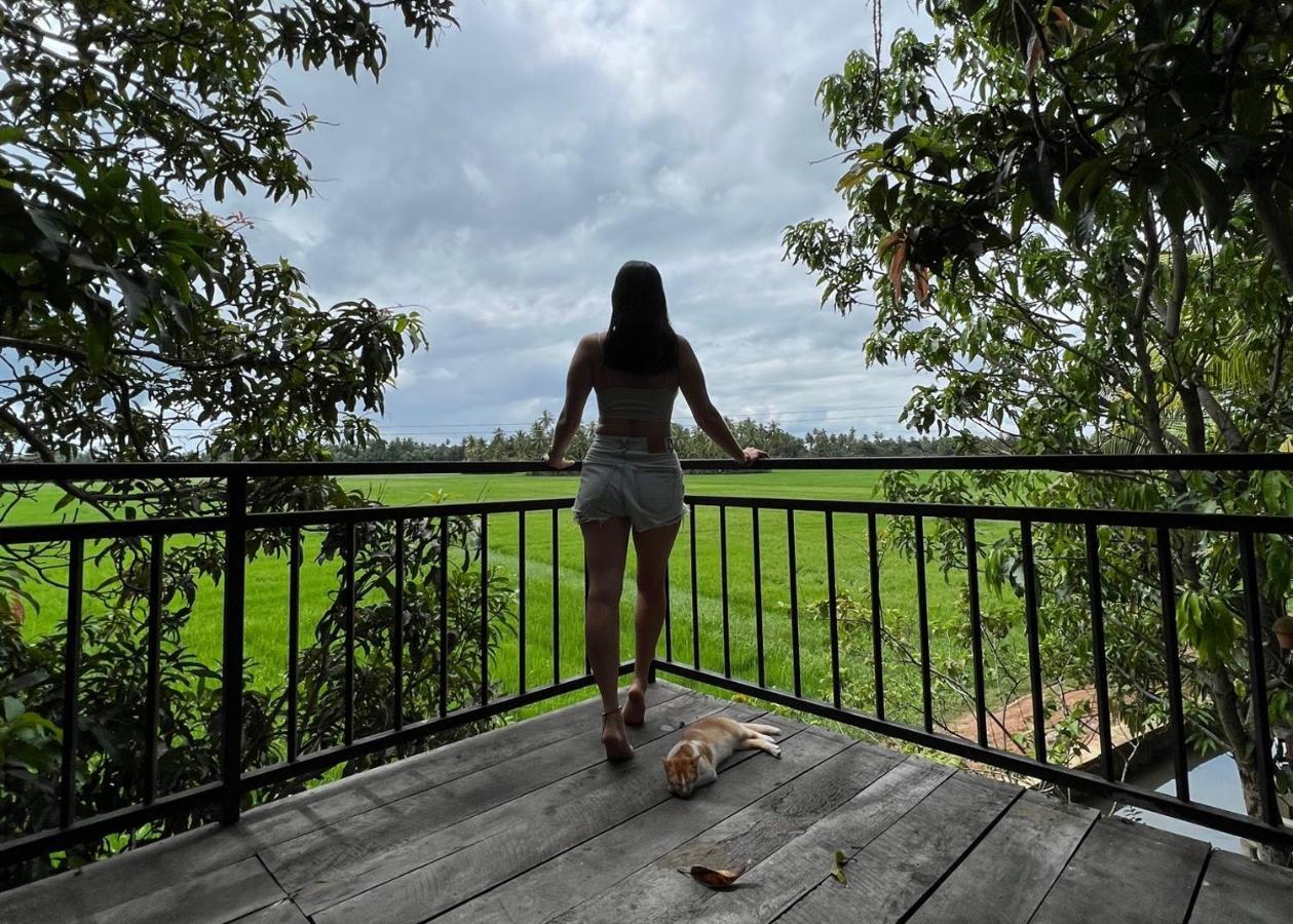 Village Mango Resort Yala Tissamaharama Eksteriør billede