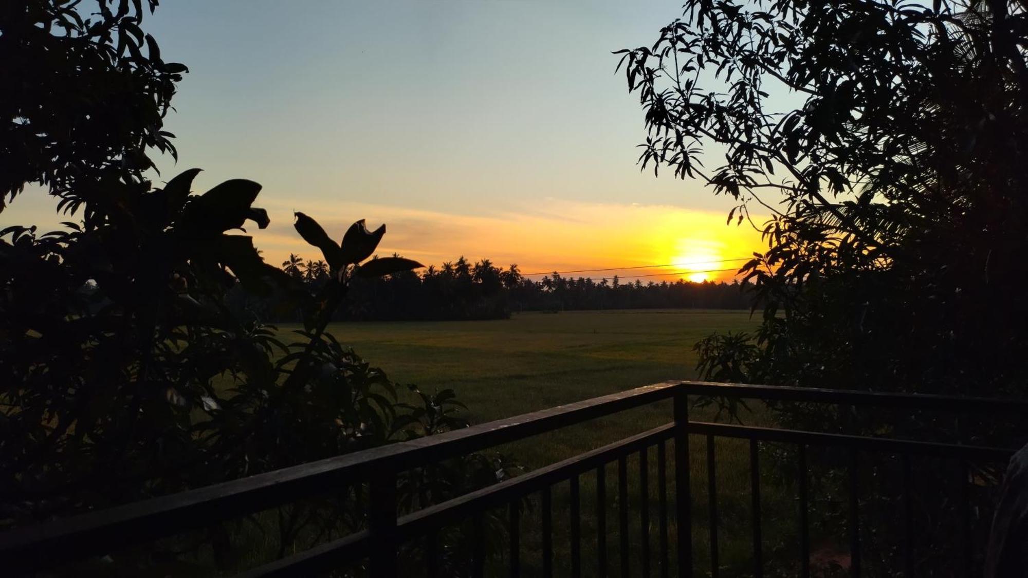 Village Mango Resort Yala Tissamaharama Eksteriør billede